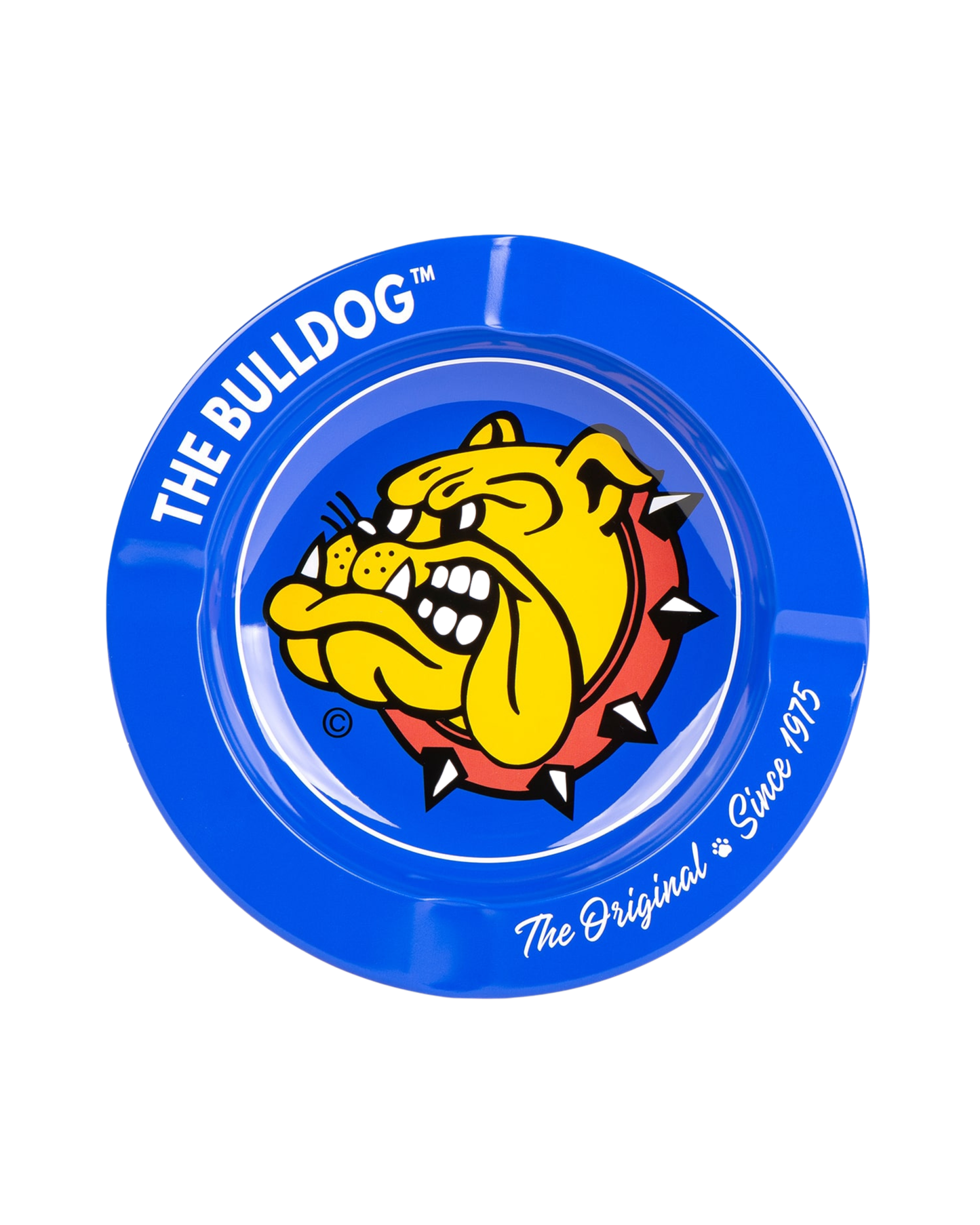 Cinzeiro The Bulldog